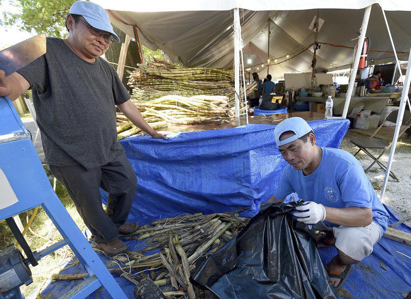 Vietnamese Catholics share religious experience in annual Marian Days festival
